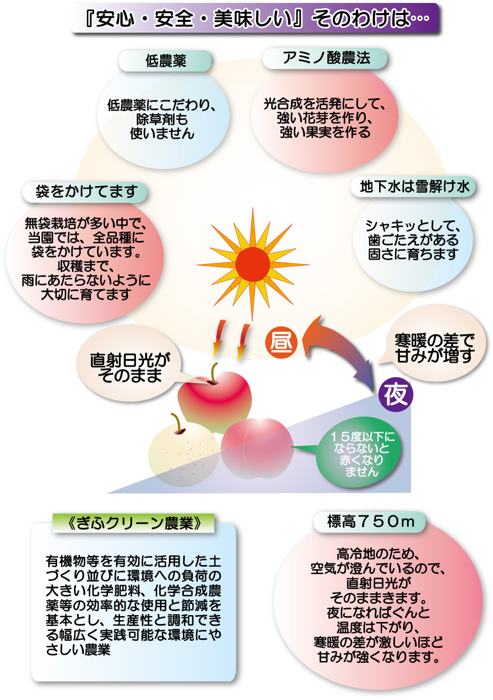 安全、安心、美味しいそのわけは